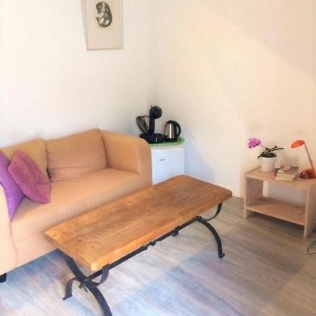 Prune D'Ente - B&B Las Coussoulesses Anthé Zewnętrze zdjęcie